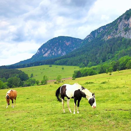 Hotel Glamping Hohe Wand - Zelt Mit Sternenfenster Und Whirlpool Maiersdorf Zewnętrze zdjęcie