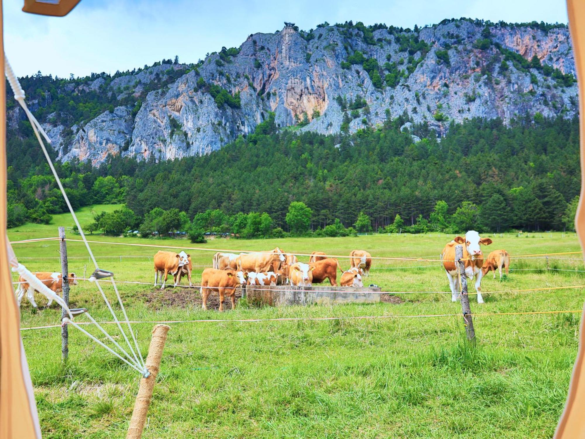 Hotel Glamping Hohe Wand - Zelt Mit Sternenfenster Und Whirlpool Maiersdorf Zewnętrze zdjęcie