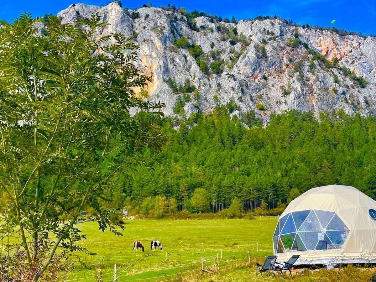 Hotel Glamping Hohe Wand - Zelt Mit Sternenfenster Und Whirlpool Maiersdorf Zewnętrze zdjęcie